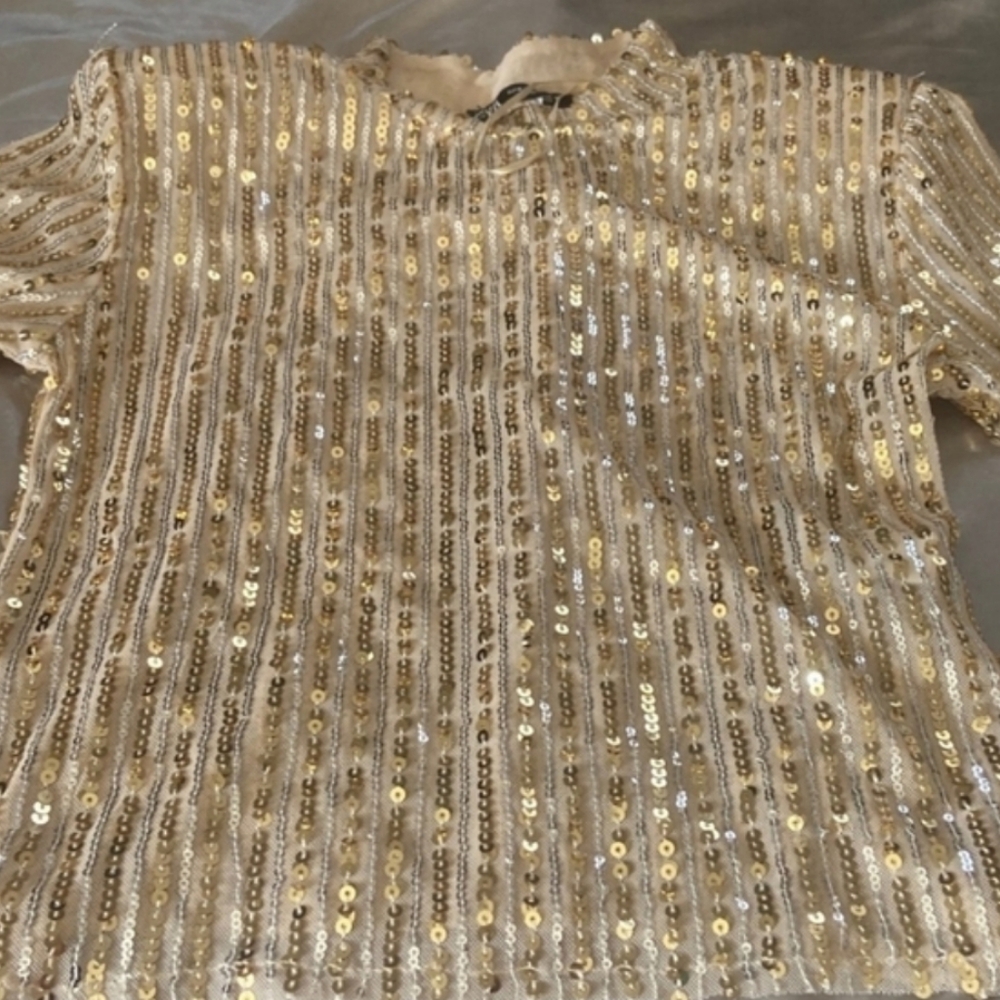 Zara Gold Sequin Top
